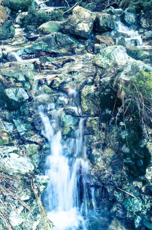 A serene stream flows over rocks, surrounded by greenery, creating a peaceful natural scene.
