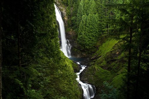A serene waterfall cascades through lush green trees and moss-covered rocks in a tranquil forest setting.