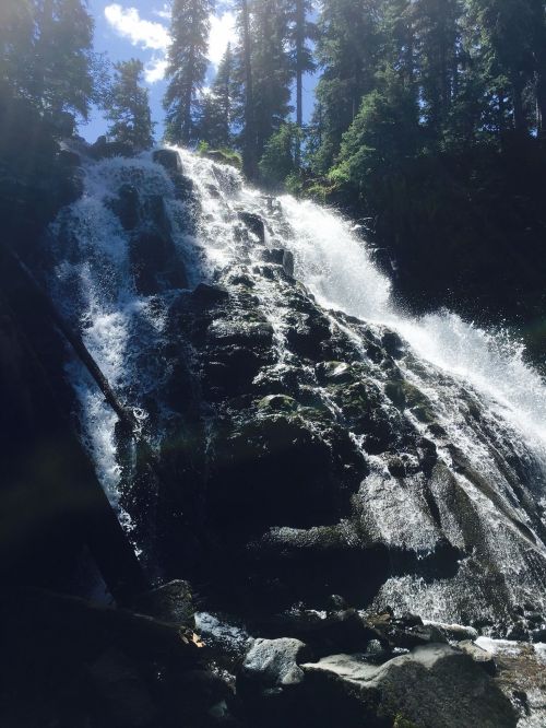A cascading waterfall flows over rocky terrain, surrounded by lush green trees under a bright blue sky.