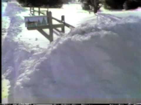 A snow-covered mailbox surrounded by a large snowbank, with trees in the background.