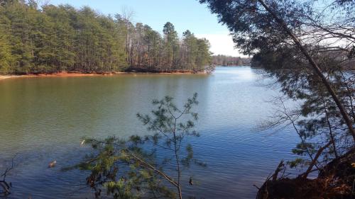 A serene lake surrounded by trees under a clear blue sky, reflecting calm waters and natural beauty.