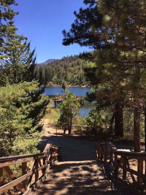 A wooden staircase leads down to a serene lake surrounded by trees and mountains under a clear blue sky.