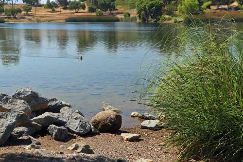 A serene lake scene with rocks, grass, and a calm water surface reflecting the surrounding greenery.