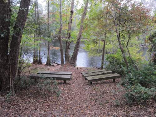 A serene view of a river surrounded by trees, with wooden benches on a leaf-covered path leading to the water.