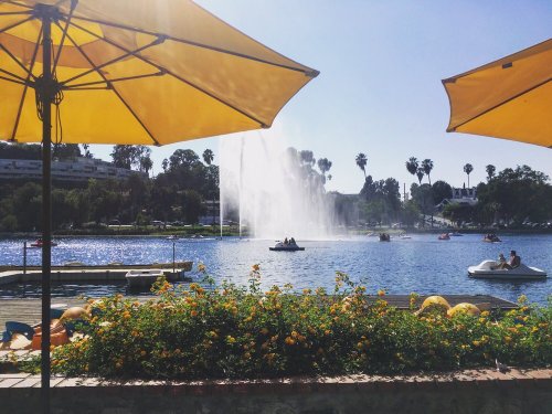 A sunny lake scene with yellow umbrellas, a fountain, and people in paddle boats surrounded by palm trees.