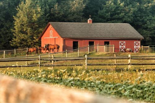 A red barn surrounded by green fields and horses grazing nearby, with trees in the background.