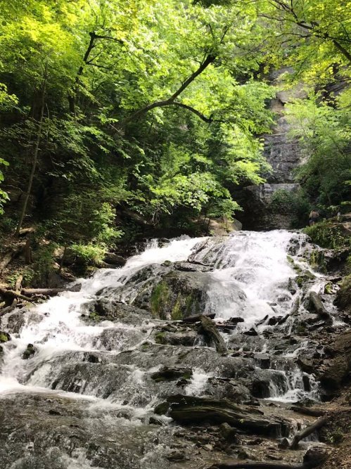 A cascading waterfall flows over rocks, surrounded by lush green trees and a rocky cliff in a serene forest setting.