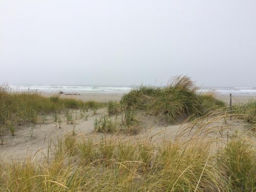 A foggy beach scene with tall grass and sand dunes, overlooking a calm ocean.