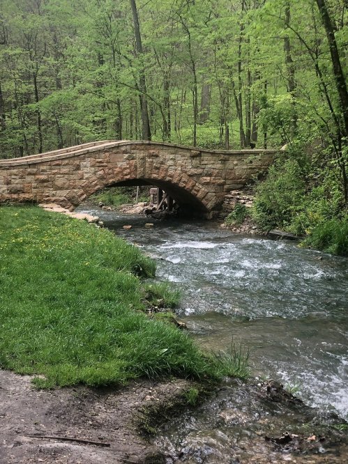 A stone bridge arches over a flowing stream, surrounded by lush green trees and grass in a serene forest setting.