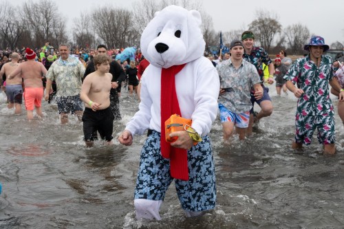 A person in a polar bear costume and red scarf wades through water, surrounded by others in swimwear and festive attire.