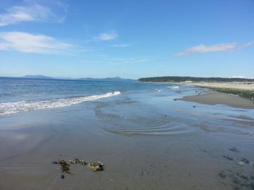 A serene beach scene with gentle waves, clear blue skies, and distant mountains on the horizon.