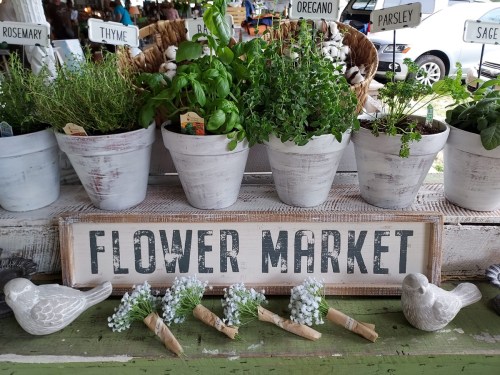 Potted herbs at a flower market, with a sign reading "FLOWER MARKET" and decorative birds in front.