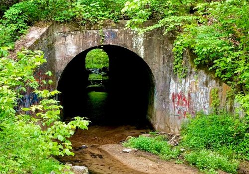 A dark tunnel surrounded by lush greenery and graffiti, with a glimpse of light at the far end.