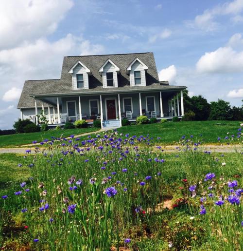 A charming gray house with a porch, surrounded by green grass and blooming purple flowers under a blue sky.