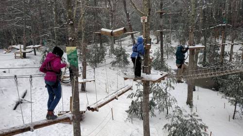 Three people navigate a snowy ropes course in a forest, surrounded by trees and winter scenery.