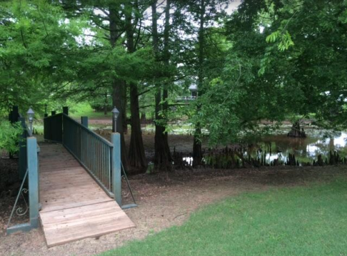 A wooden bridge leads over a small pond, surrounded by lush green trees and plants.