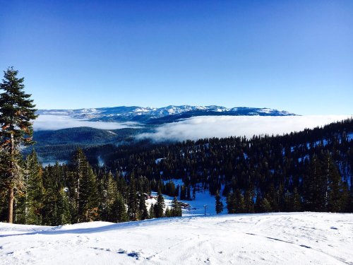 A snowy landscape with evergreen trees, mountains in the distance, and a blanket of clouds below under a clear blue sky.