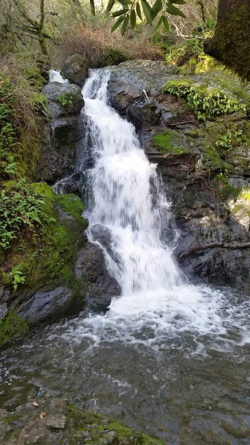 A serene waterfall cascading over moss-covered rocks, surrounded by lush greenery in a tranquil forest setting.