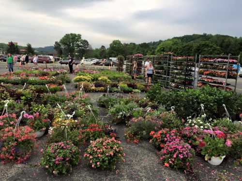 A vibrant flower market with colorful plants and flowers, shoppers browsing among the displays under a cloudy sky.