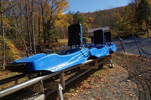 Blue alpine coaster cars on a track surrounded by autumn trees and a clear blue sky.