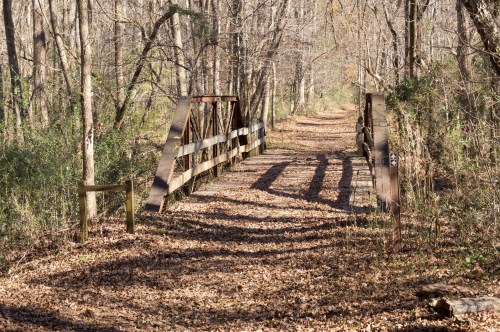 A wooden bridge over a leaf-covered path, surrounded by trees in a serene, wooded area.
