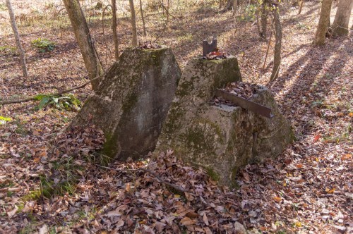 Two large, moss-covered rocks in a wooded area, surrounded by fallen leaves and dappled sunlight.
