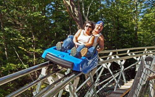 A man and woman enjoy a thrilling ride on a blue roller coaster through a wooded area.
