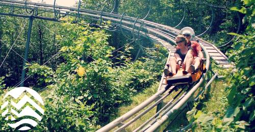 Two people enjoy a summer ride on a roller coaster through lush greenery.