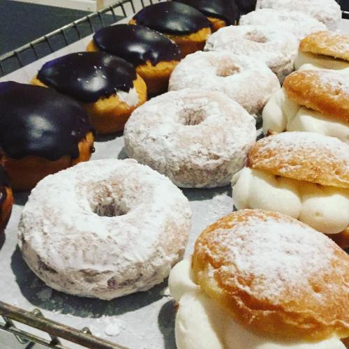 A tray of assorted donuts, including chocolate-covered and powdered sugar varieties, arranged neatly.