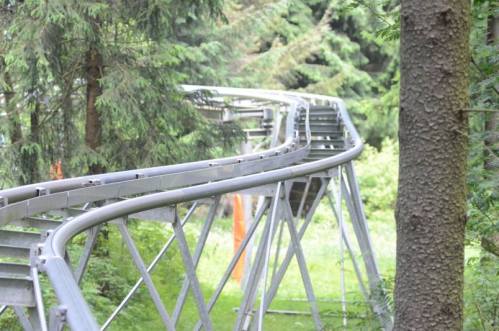 A winding metal track through a lush green forest, surrounded by tall trees and foliage.