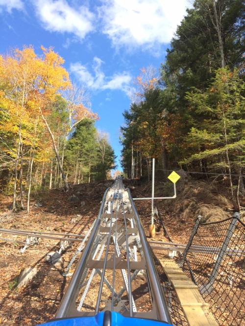 View from a roller coaster track winding through a forest with autumn foliage under a blue sky.