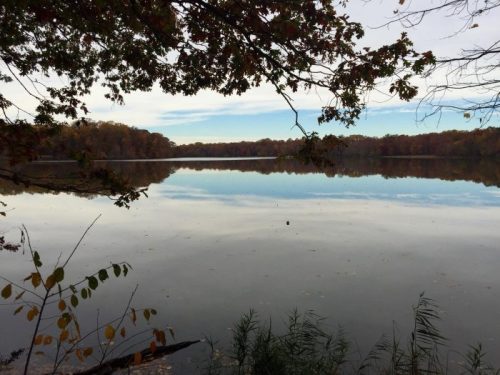 A tranquil lake surrounded by autumn foliage, reflecting the sky and trees on its calm surface.