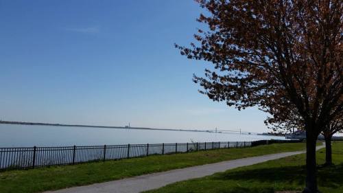 A serene waterfront view with a clear blue sky, a tree in the foreground, and a distant bridge on the horizon.
