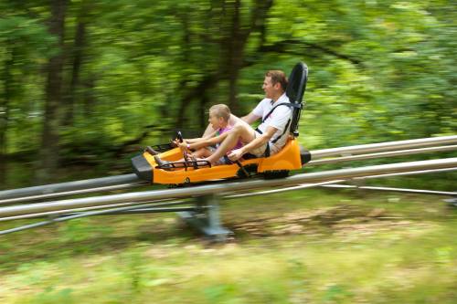 A child and an adult ride a yellow alpine coaster, speeding through a lush green forest.