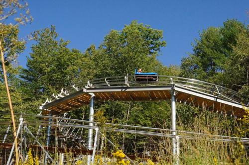 A roller coaster track curves through a wooded area under a clear blue sky.