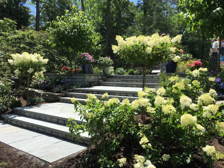 More Garden Gems to Discover