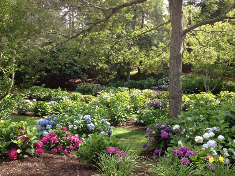 More Garden Gems to Discover