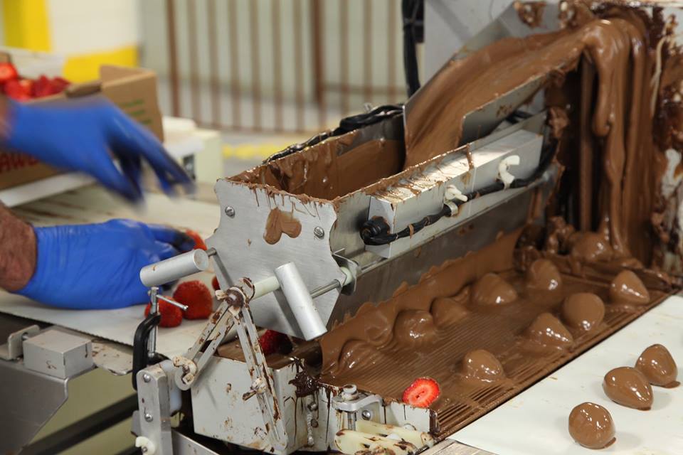 The Chocolate Factory Tour In Missouri That’s Everything You’ve Dreamed ...