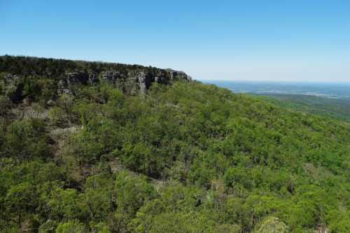 A panoramic view of a lush green hillside with rocky cliffs under a clear blue sky.