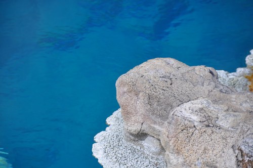 A close-up of a textured rock beside clear blue water, with coral-like formations along the edge.