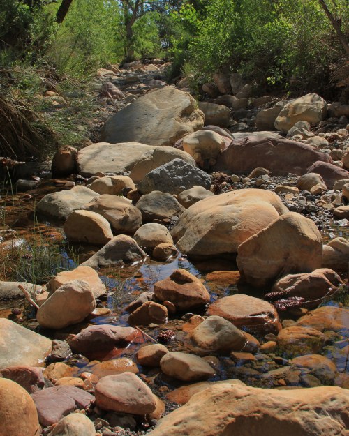 A rocky stream bed with various sized stones and pebbles, surrounded by greenery and trees.