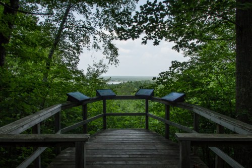 Wooden observation deck surrounded by lush green trees, overlooking a distant view of water and sky.