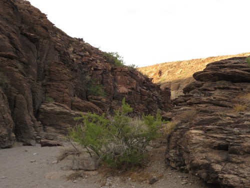 A rocky canyon with steep walls and sparse vegetation under a clear sky.