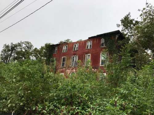 Abandoned red brick building overgrown with greenery, surrounded by trees and power lines under a cloudy sky.