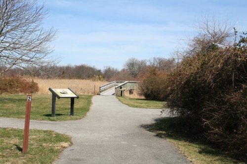 A pathway leads to a wooden bridge, surrounded by tall grasses and shrubs under a clear blue sky.