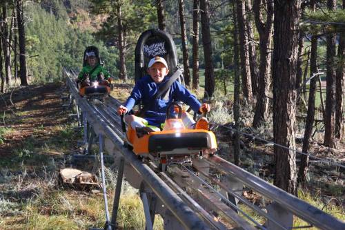 Two children ride a mountain coaster on a track through a forested area, surrounded by trees and greenery.