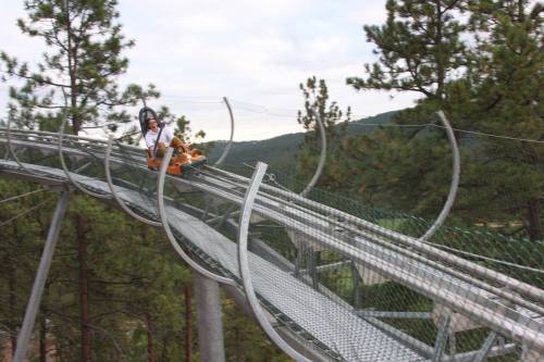A person rides a mountain coaster on a winding track surrounded by trees and hills.
