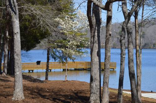 A serene lake view with a wooden dock, surrounded by trees and blooming flowers on a clear day.