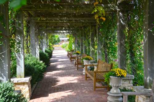 A serene garden path lined with wooden benches and potted flowers, shaded by lush greenery overhead.