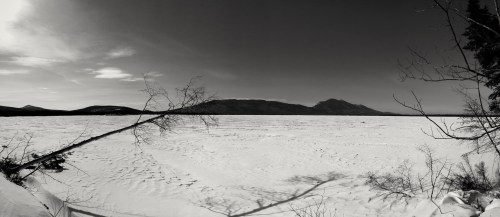 A panoramic black-and-white view of a snowy landscape with mountains in the distance and a fallen tree in the foreground.